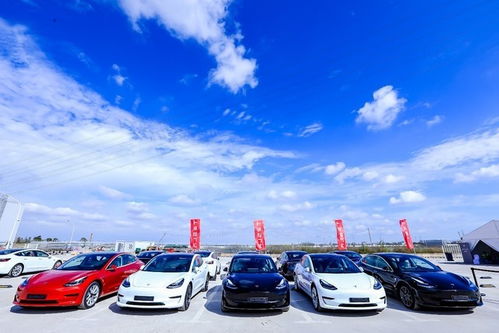 特斯拉上海超級(jí)工廠開(kāi)啟Model 3整車出口新篇章，引領(lǐng)全球新能源汽車產(chǎn)業(yè)格局重塑
